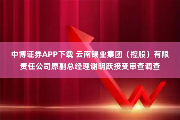 中博证券APP下载 云南锡业集团（控股）有限责任公司原副总经理谢明跃接受审查调查